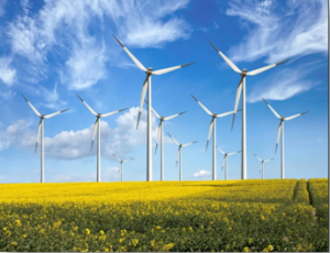 В Каменском районе Ростовской области    будет построена ветряная электрическая станция