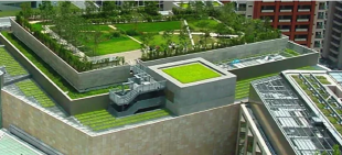 На общественное обсуждение размещен проект национального стандарта ГОСТ Р «Зелёные стандарты. Озеленяемые и эксплуатируемые крыши зданий и сооружений. Технические и экологические требования».